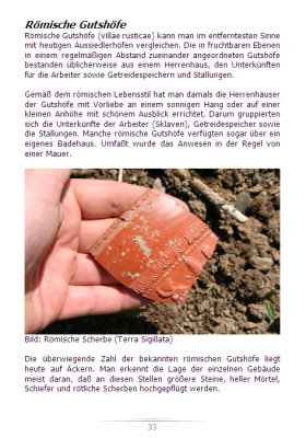 Römische Scherben auf einem Acker