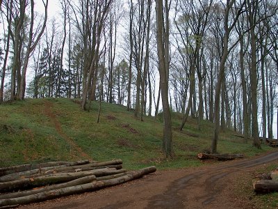 Die Wallanlage des Titelberg
