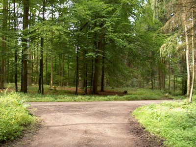 Umgebung der Fundstelle
